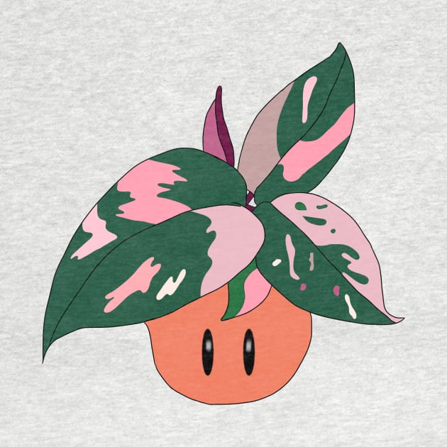 Pink Princess Philodendron by danodude